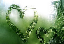 浓眉哥官方宣布比赛局势复杂新规，塞尔维亚队引发争议！